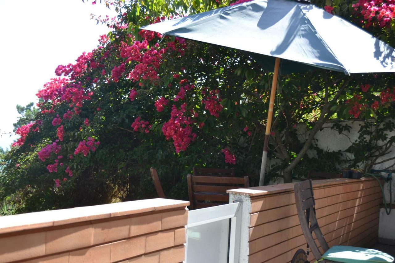 Encosta Do Sol Apartment นาซาเร ภายนอก รูปภาพ
